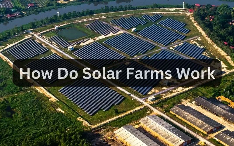 How do solar farms work
