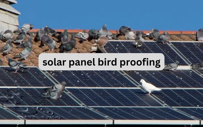 solar panel bird proofing
